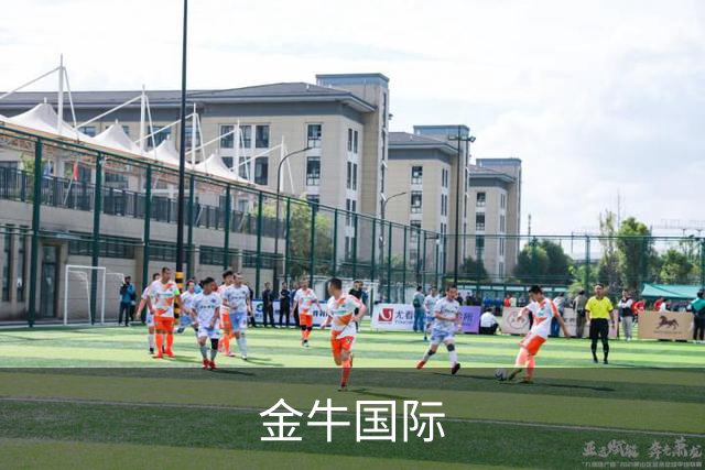 金牛国际 公司简介